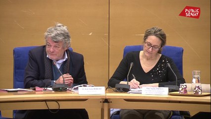 Arrêt de la rénovation urbaine : Jean-Louis Borloo veut une commission d’enquête