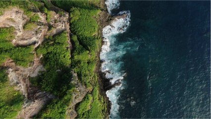 Environmental Fund Investments Breaking Records