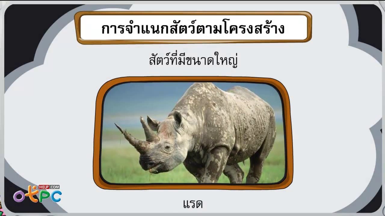 การจำแนกสัตว์ตามโครงสร้าง - วิทยาศาสตร์ ป.1