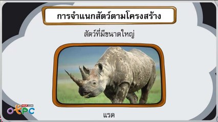 การจำแนกสัตว์ตามโครงสร้าง - วิทยาศาสตร์ ป.1