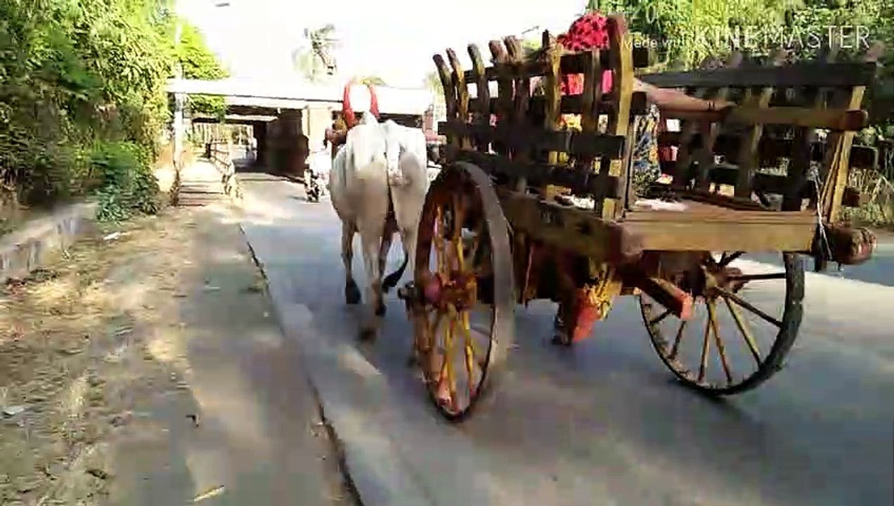 Mumbai me aaj bhi chalti hai railgadi,
