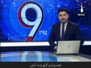 Maliha Lodhi meets Nawaz Sharif