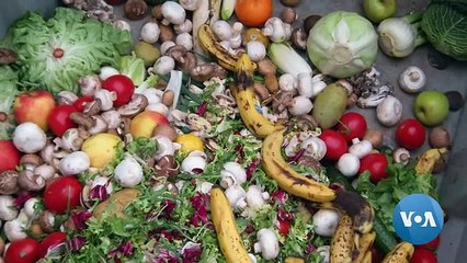 This Tech Startup Has A Goal To Curb Food Waste