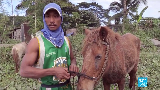 Rescue workers race to evacuate residents and animals from Taal volcano danger zone