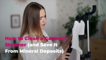 How to Clean a Garment Steamer (and Save It From Mineral Deposits)