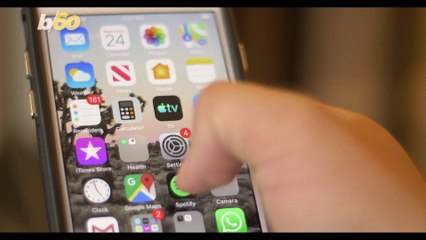 Spotify Will Create A Playlist of Your Pet's Favorite Music