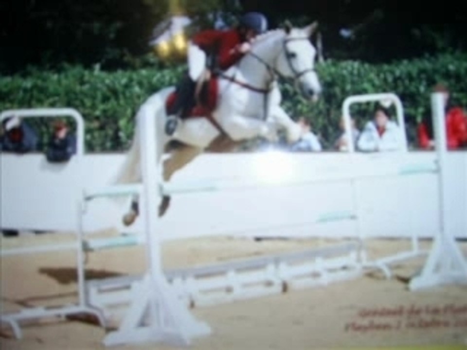 Guerrus_0001
