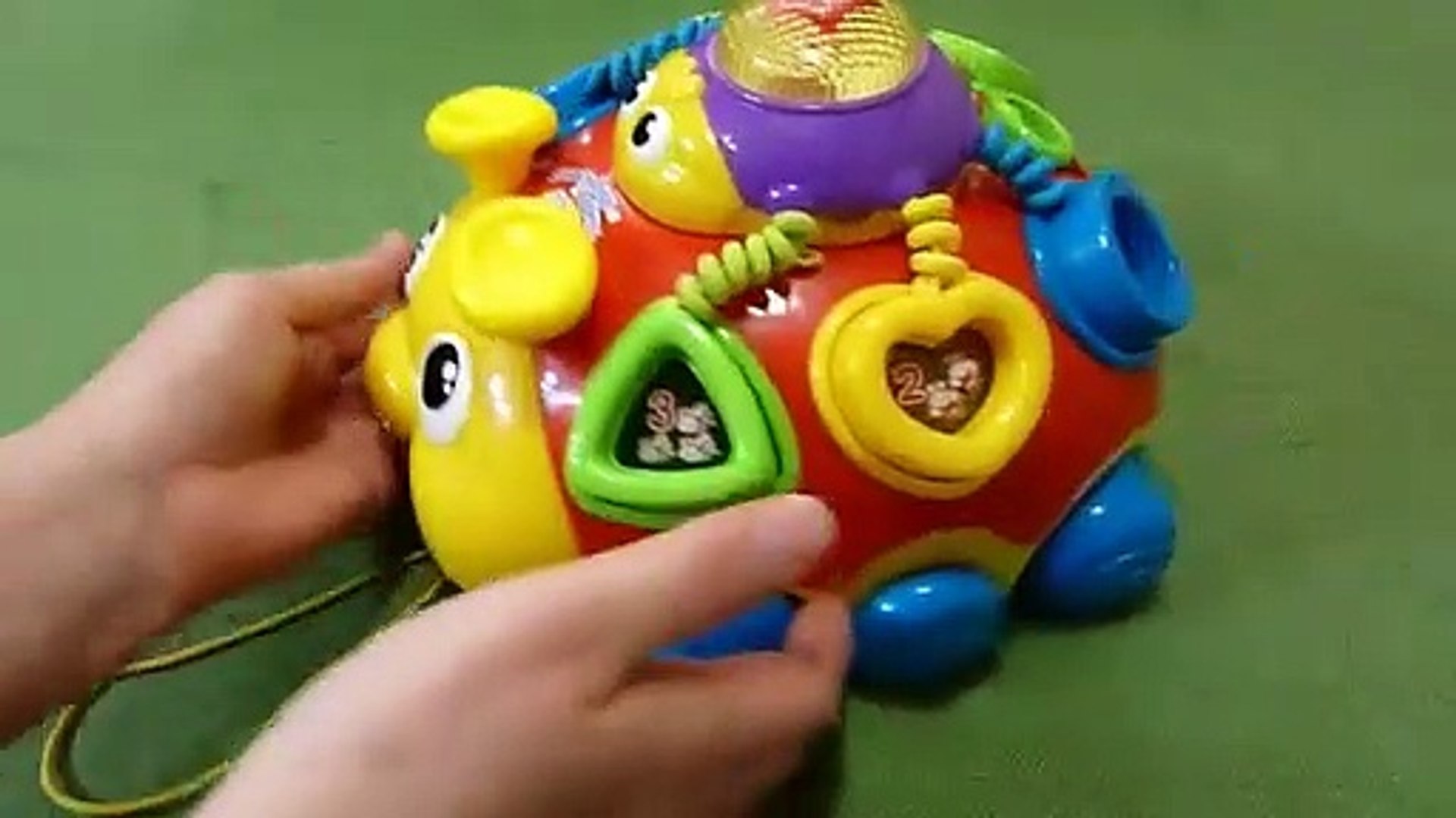 Vtech Crazy Legs Learning Bugs Shape Sorter Pull Toy - video Dailymotion
