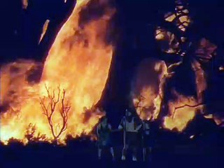 The Blue Bird - Tylette's death (fast, slow, reverse)