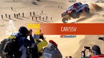 Dakar 2020 - Stage 10 (Haradh / Shubaytah) - Car/SSV Summary