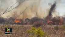 tn7-temporada-de-incendios-forestales-150120