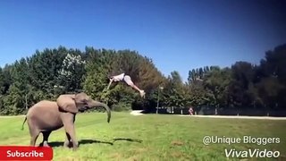 Tricking Freerunning and Parkour with Amazing Flips