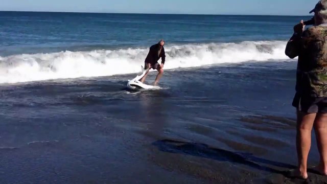 2 hommes tentent de sauver un requin bleu échoué sur la plage