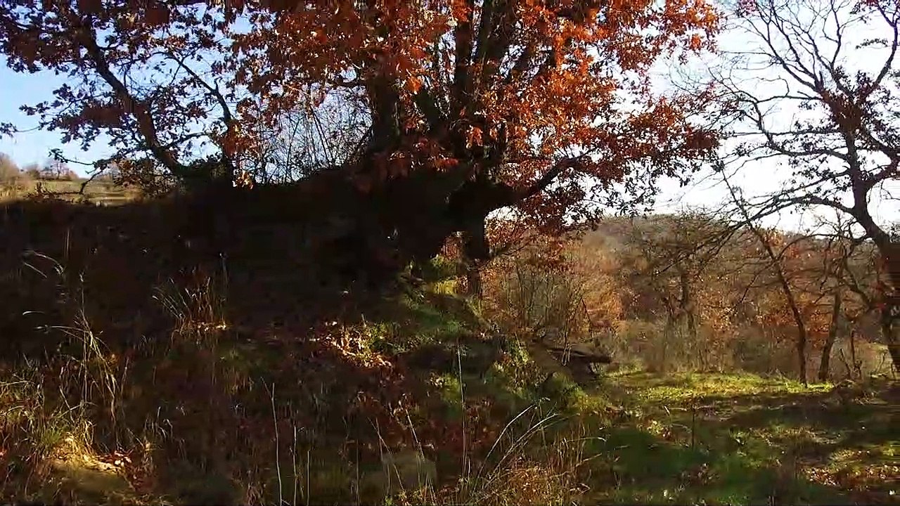 Tovoion tv Από την Τριάδα Βοΐου προς το «Το Πετρογέφυρο» -  Από πέρα απ' το ποτάμι  15:1:2020