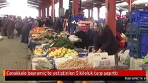 Çanakkale bayramiç'te yetiştirilen 5 kiloluk turp şaşırttı