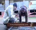 شاهد..الحاجة نادية تعمل 