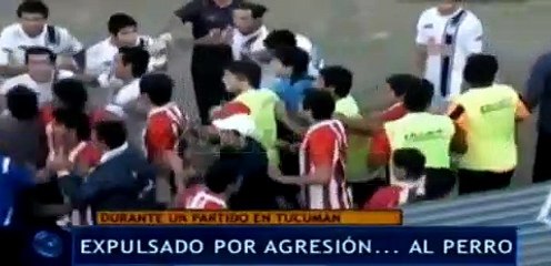 Olay! Sahaya giren köpeği fırlattı attı!