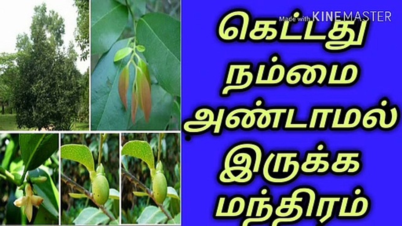 கெட்டது நம்மை அண்டாமல் இருக்க/நல்லதைமட்டும்சொள்வோம்/ஜோதிடர்வெற்றிவடிவேல்/தமிழ்