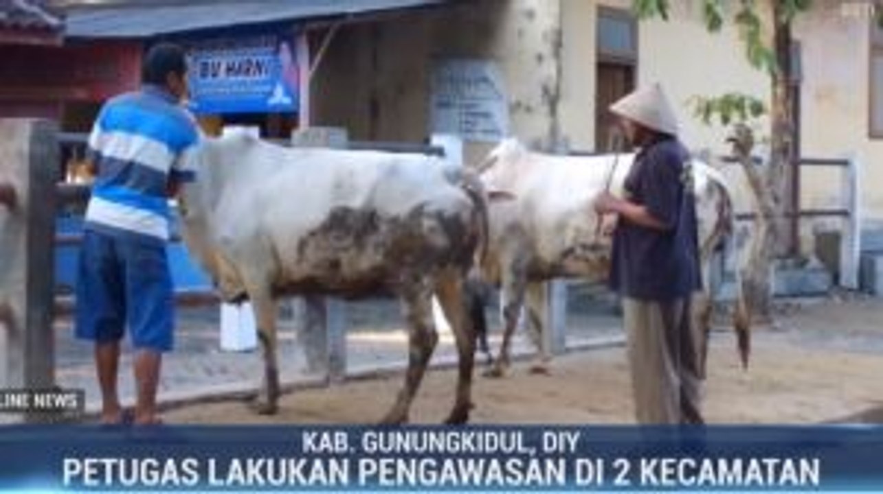 27 Warga Gunungkidul Positif Terjangkit Antraks