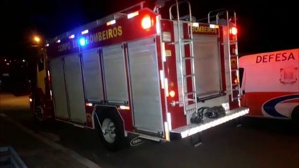 Vespas causam transtornos e Bombeiros são mobilizados ao Bairro Canadá