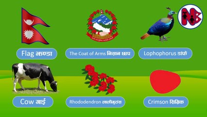 National Emblem of Nepal HD नेपालको राष्ट्रिय चिन्हहरु।