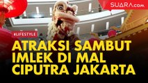 Sambut Imlek, Atraksi Wayang Potehi dan Barongsai  di Mal Ciputra Jakarta