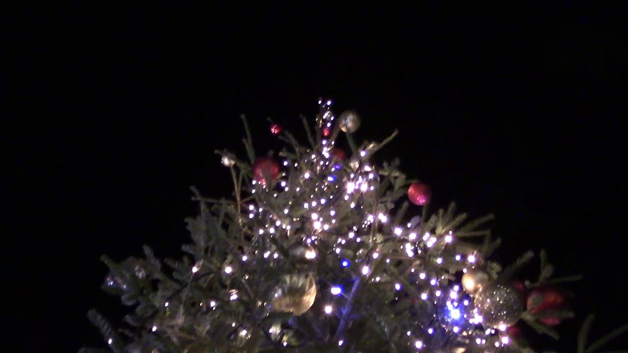 ##09 - Je rêve d'une nouvelle France et j'en fais part à un sapin