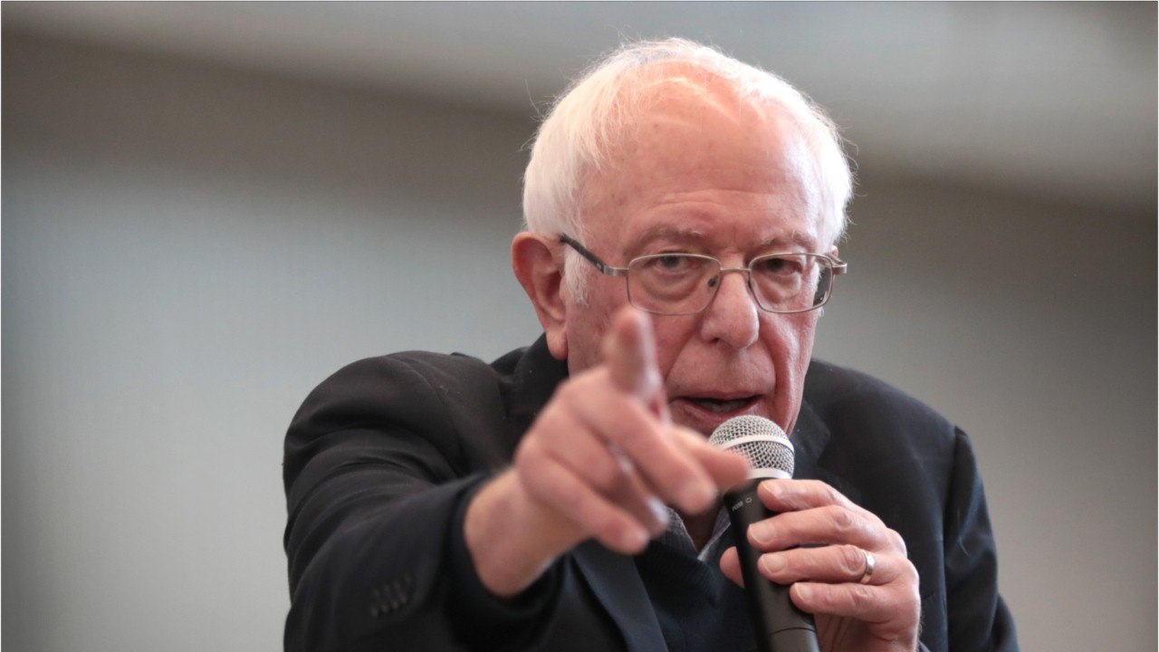 Sanders Admits Canvass Script Had Points Attacking Democratic Opponents