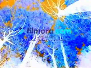 Baby Monet in G Major [Part 2]