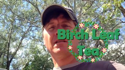 How To Make A Detox Tea Mademan Health Corner