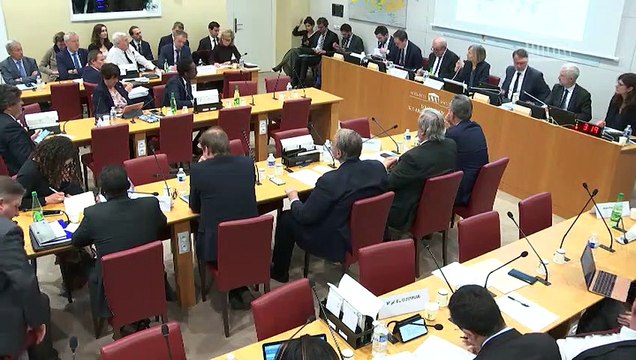 Commission des affaires étrangères : M. Jean-Yves Le Drian, ministre de l'Europe et des affaires étrangères - Mercredi 15 janvier 2020