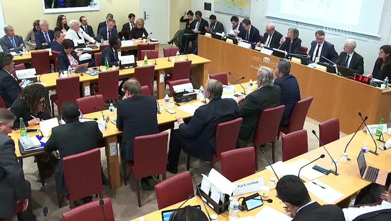 Commission des affaires étrangères : M. Jean-Yves Le Drian, ministre de l'Europe et des affaires étrangères - Mercredi 15 janvier 2020