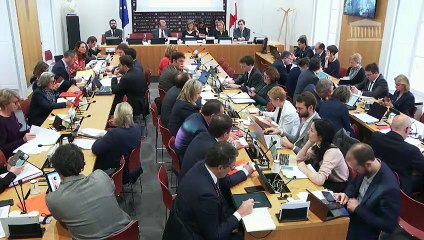 Commission des lois : Protection des victimes de violences conjugales (suite) - Mercredi 15 janvier 2020