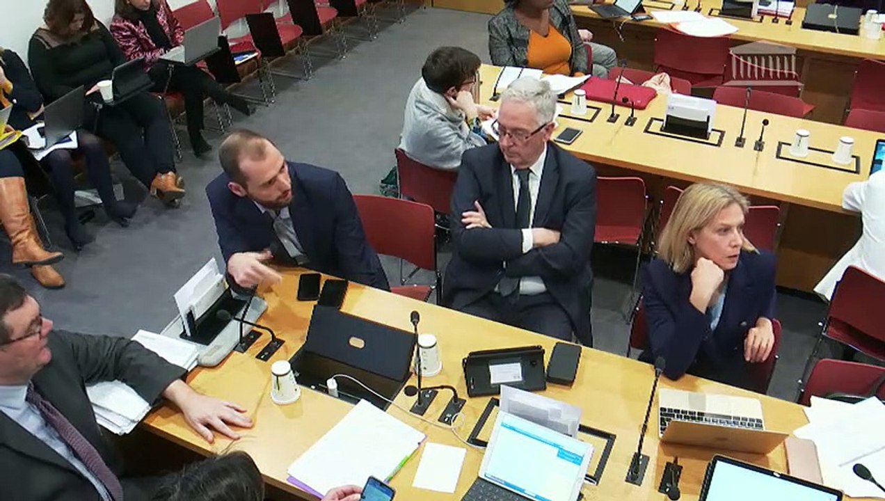 Commission des lois : Protection des victimes de violences conjugales (suite) ; Mandat des membres de la Haute autorité pour la diffusion des œuvres et la protection des droits sur internet - Mercredi 15 janvier 2020