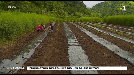 L’impact des fortes pluies sur l’agriculture