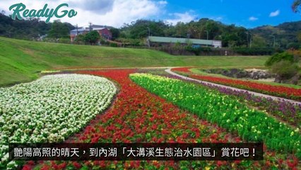 CollectionVideo-breaktime_readygo_curation-copy1-ImreadygoParser-2020/01/13-12:25