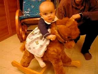 6 janvier 2002 - Premier cours d'équitation