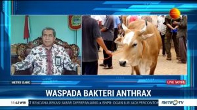 Cegah Penularan Anthrax, Pemkab Gunungkidul Perketat Pengawasan Lalu Lintas Ternak