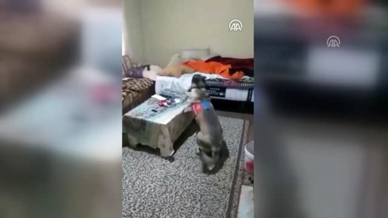 Jandarma geçen yıl uyuşturucu ve kaçakçılık operasyonlarında 812 kişiyi yakaladı - KIRKLARELİ