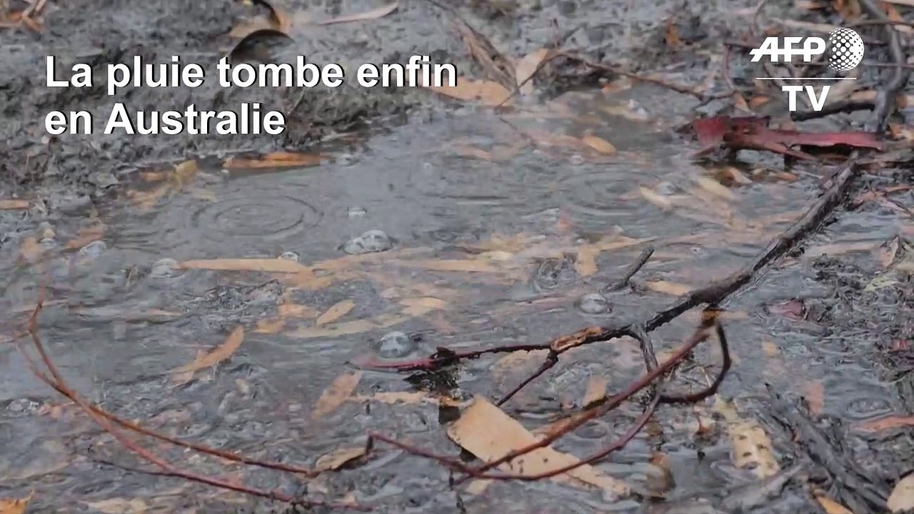 La pluie, enfin, sur les incendies en Australie