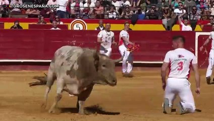  GRANDES MOMENTOS de 2019 · Cuarta y última parte