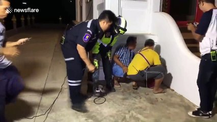 Clumsy dog rescued after getting head stuck in concrete wall of Buddhist temple in Thailand