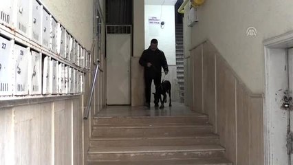 Bakan Pakdemirli'nin sahip çıktığı köpek "Bobo" tedavisi için İstanbul'a gönderildi (2)