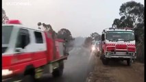 Buschfeuer in Australien: Linderung durch Regen
