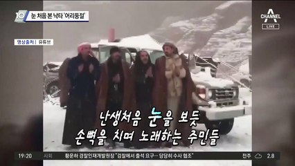 눈 처음 본 낙타 ‘어리둥절’