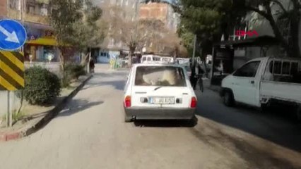 Otomobildeki buzağıyı gören şaşırdı