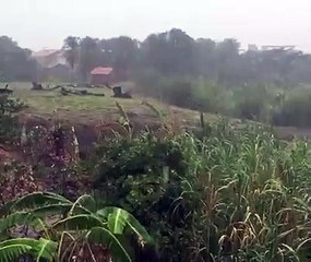 Raio atinge árvore no Bairro Mourão, em Itapipoca
