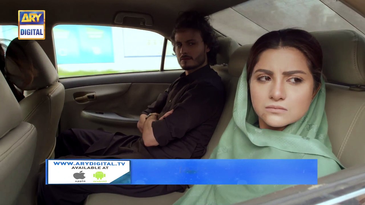 Surkh Chandni Ep 24