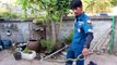 Cobra caught in Thai family's front garden after spitting venom at brave pet dog