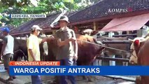 Antraks Penyakit Menular Mematikan